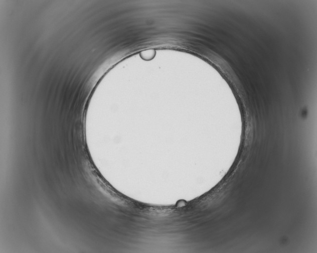 X0000115001242200912071132