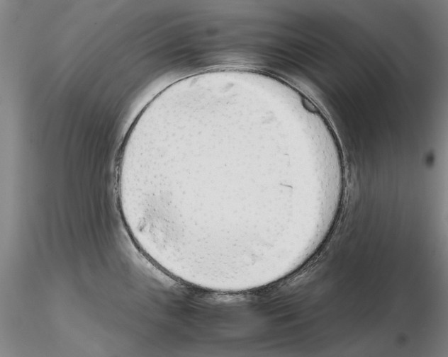 X0000115001243200912071132