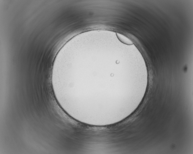 X0000115001244200912071132