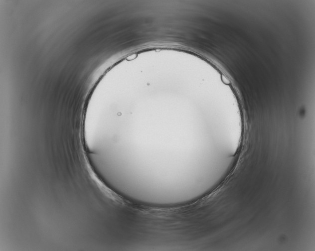 X0000115001245200912071132