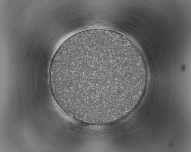 X0000115001246200912071132