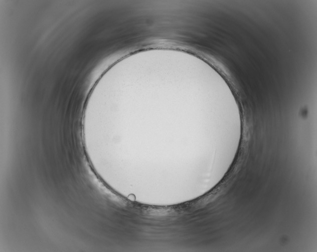 X0000115001247200912071132