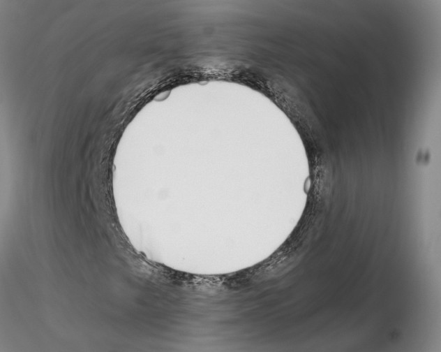 X0000115001249200912071131