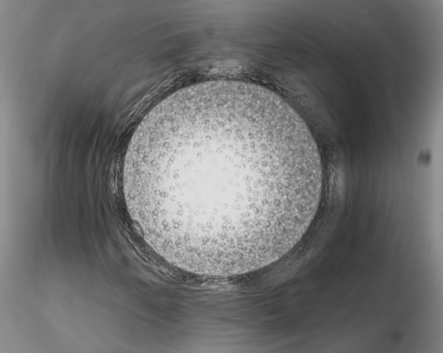 X0000115001250200912071131