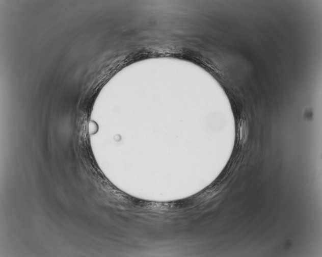 X0000115001251200912071131