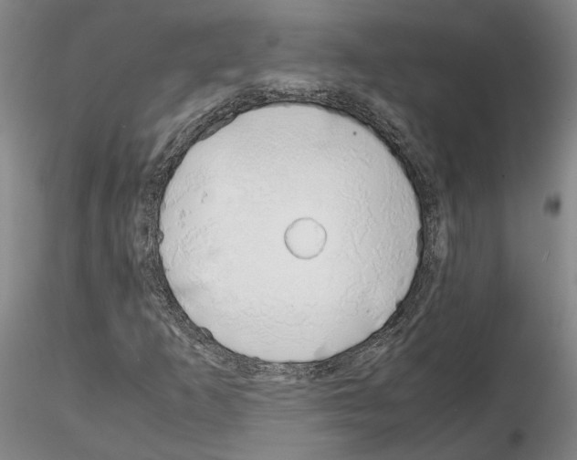 X0000115001253200912071131