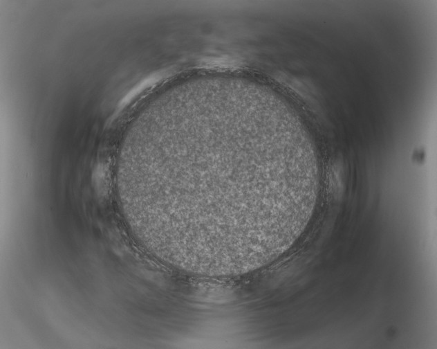 X0000115001254200912071131