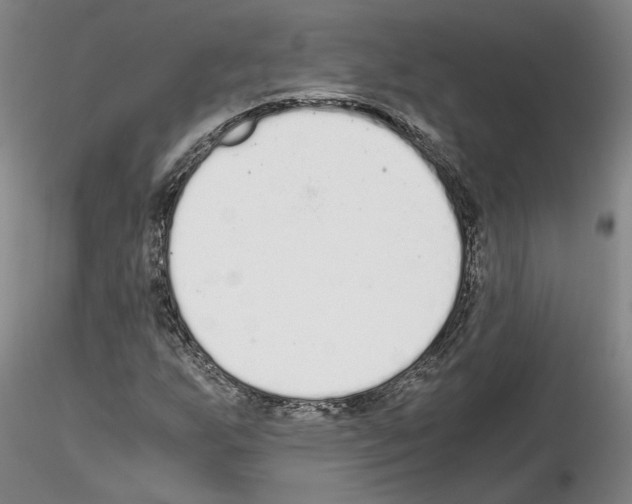 X0000115001255200912071131