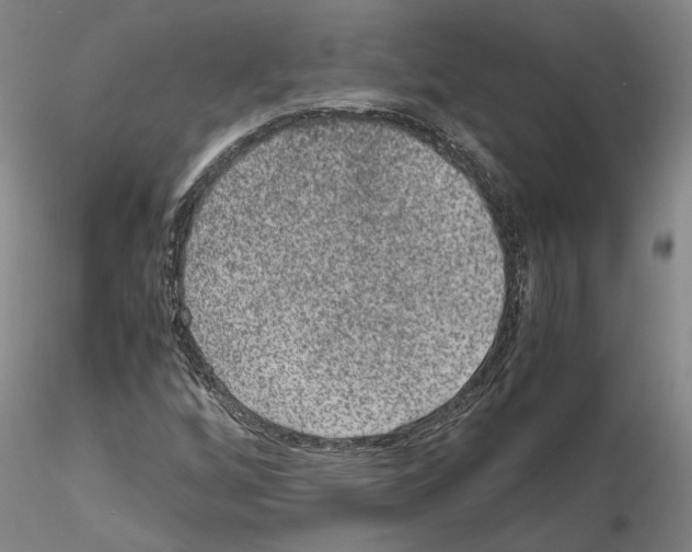 X0000115001256200912071131