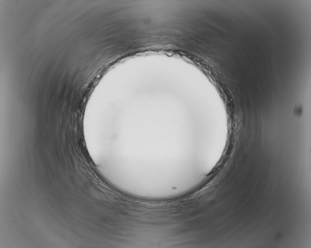 X0000115001257200912071131