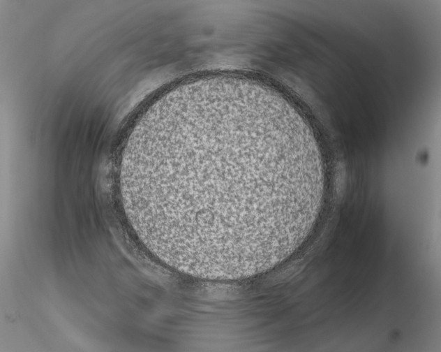 X0000115001258200912071131