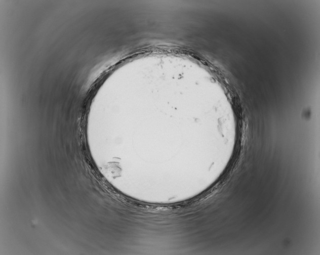 X0000115001261200912071131