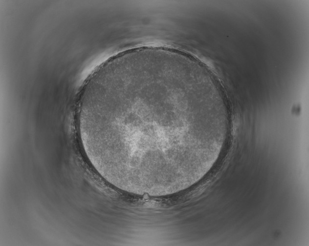 X0000115001263200912071131