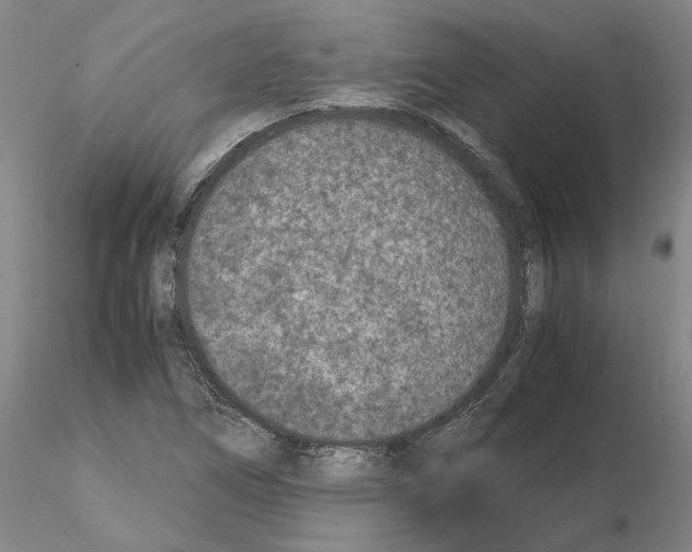 X0000115001266200912071131