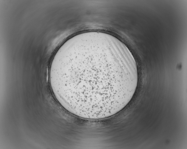 X0000115001269200912071131