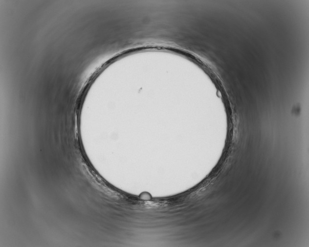 X0000115001271200912071131