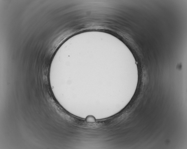 X0000115001273200912071131