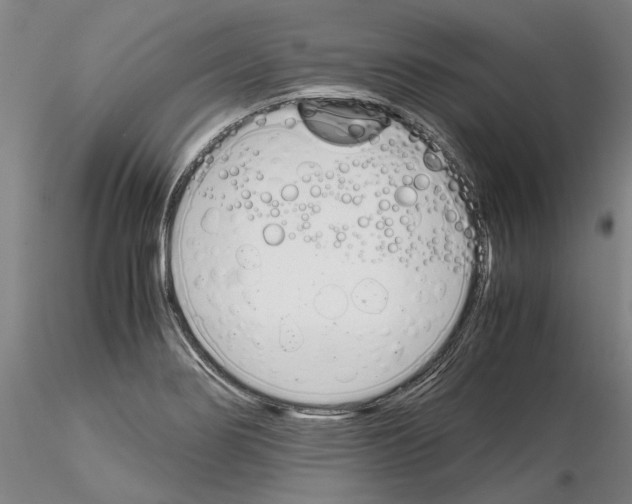 X0000115001274200912071131