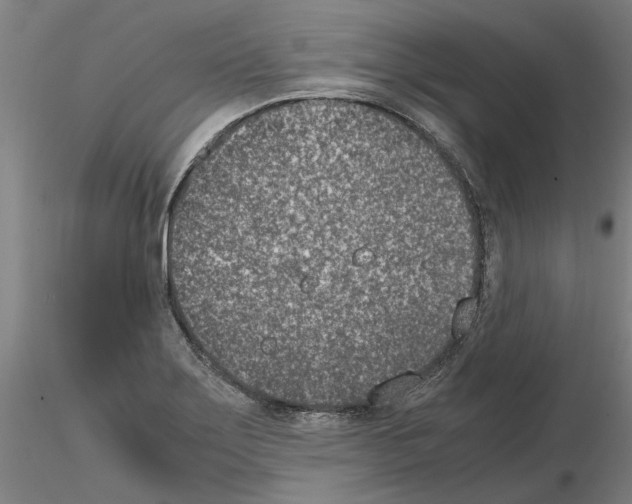 X0000115001275200912071131