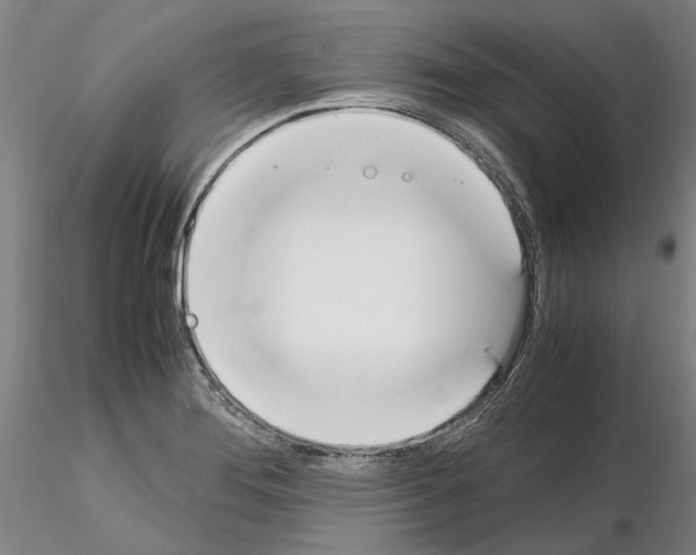 X0000115001276200912071131