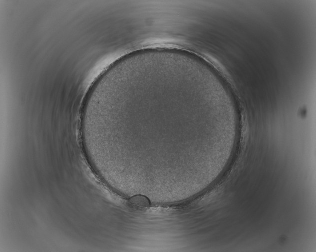 X0000115001277200912071131