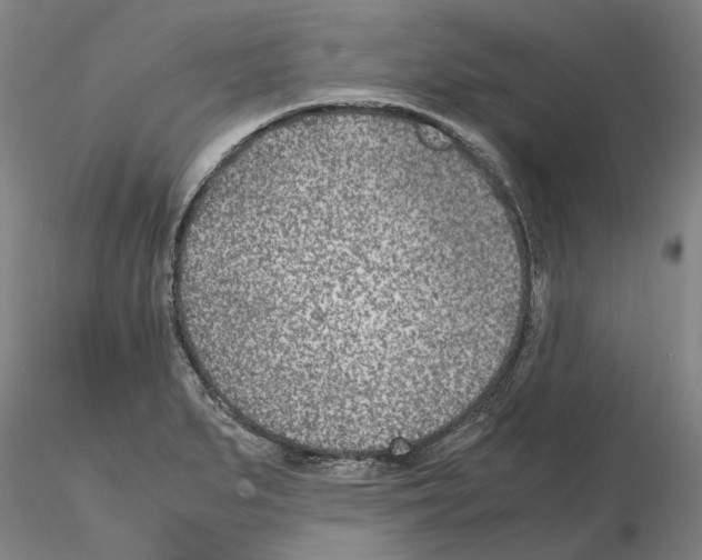 X0000115001279200912071131