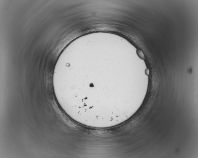 X0000115001281200912071131