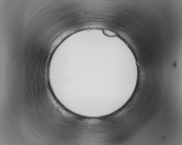 X0000115001282200912071131