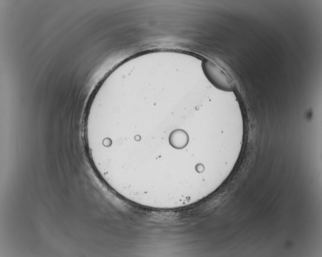 X0000115001285200912071131