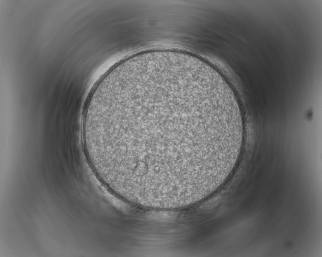 X0000115001286200912071131