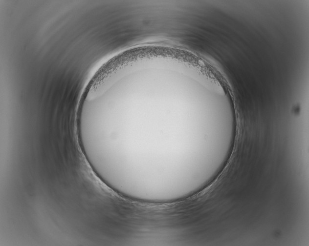 X0000115001288200912071131