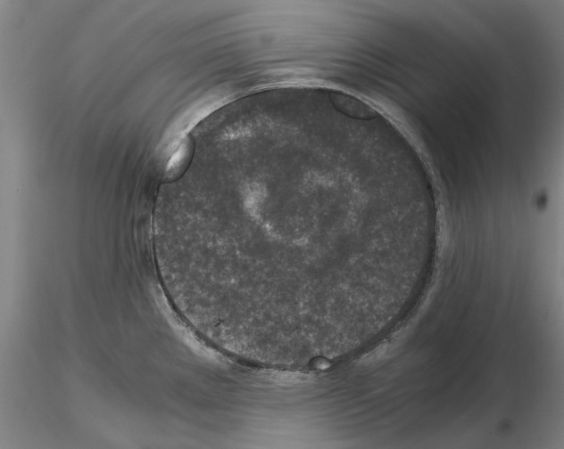 X0000115001289200912071131