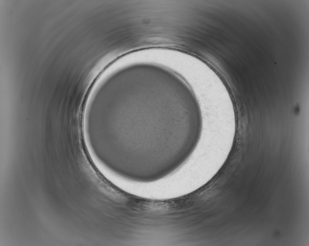 X0000115001291200912071131