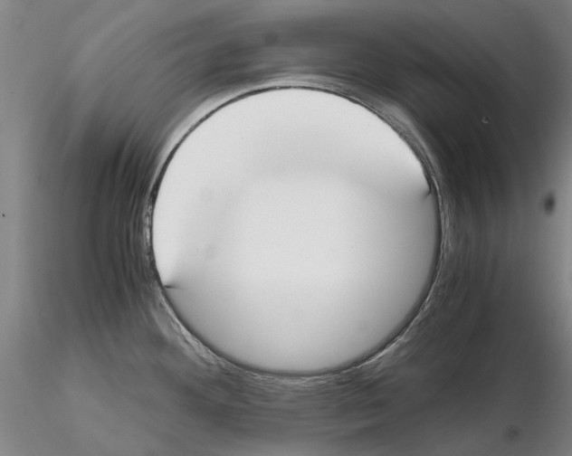 X0000115001292200912071131