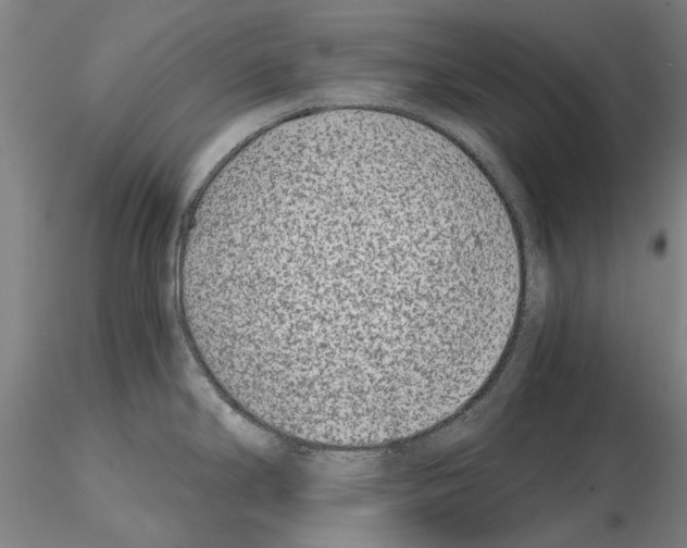 X0000115001294200912071131