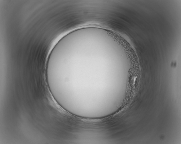 X0000115001296200912071131