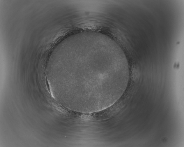 X0000115001297200912071130