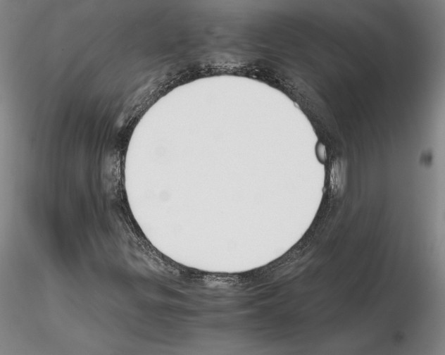 X0000115001299200912071130