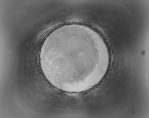 X0000115001303200912071130