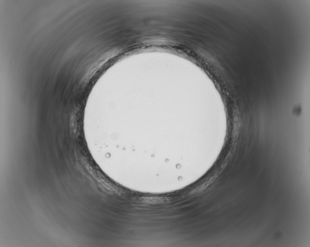 X0000115001305200912071130