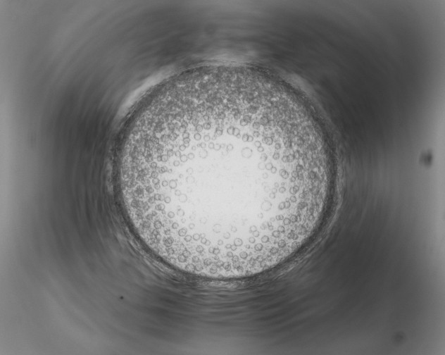 X0000115001307200912071130