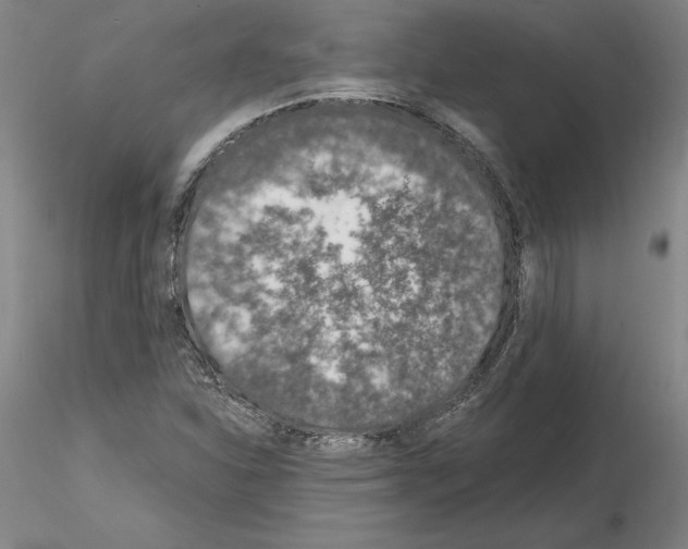 X0000115001310200912071130