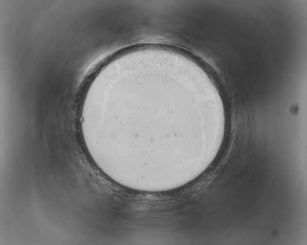 X0000115001311200912071130