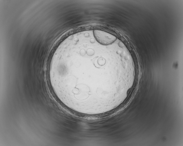 X0000115001313200912071130