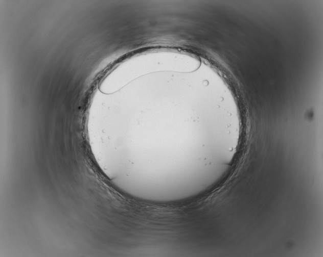 X0000115001315200912071130