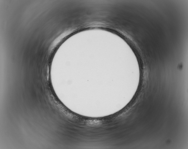 X0000115001317200912071130