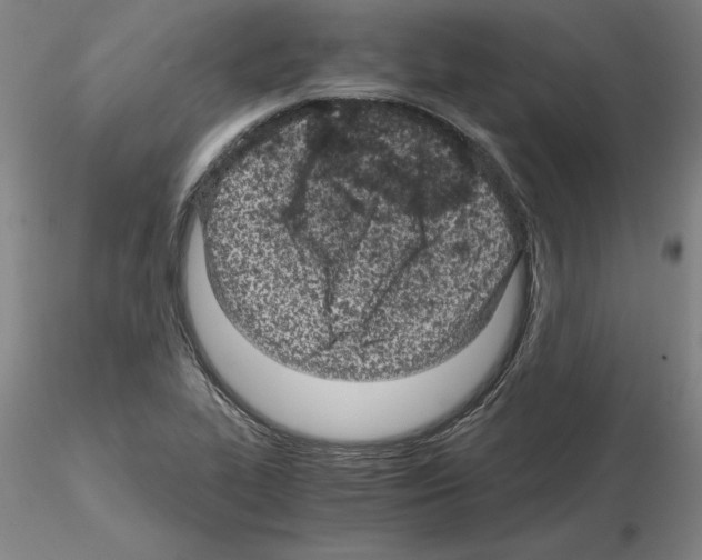 X0000115001319200912071130