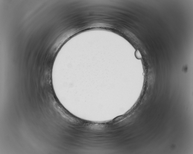 X0000115001321200912071130