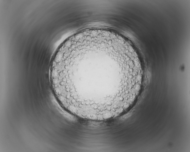 X0000115001322200912071130