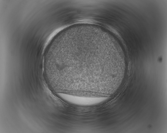 X0000115001323200912071130